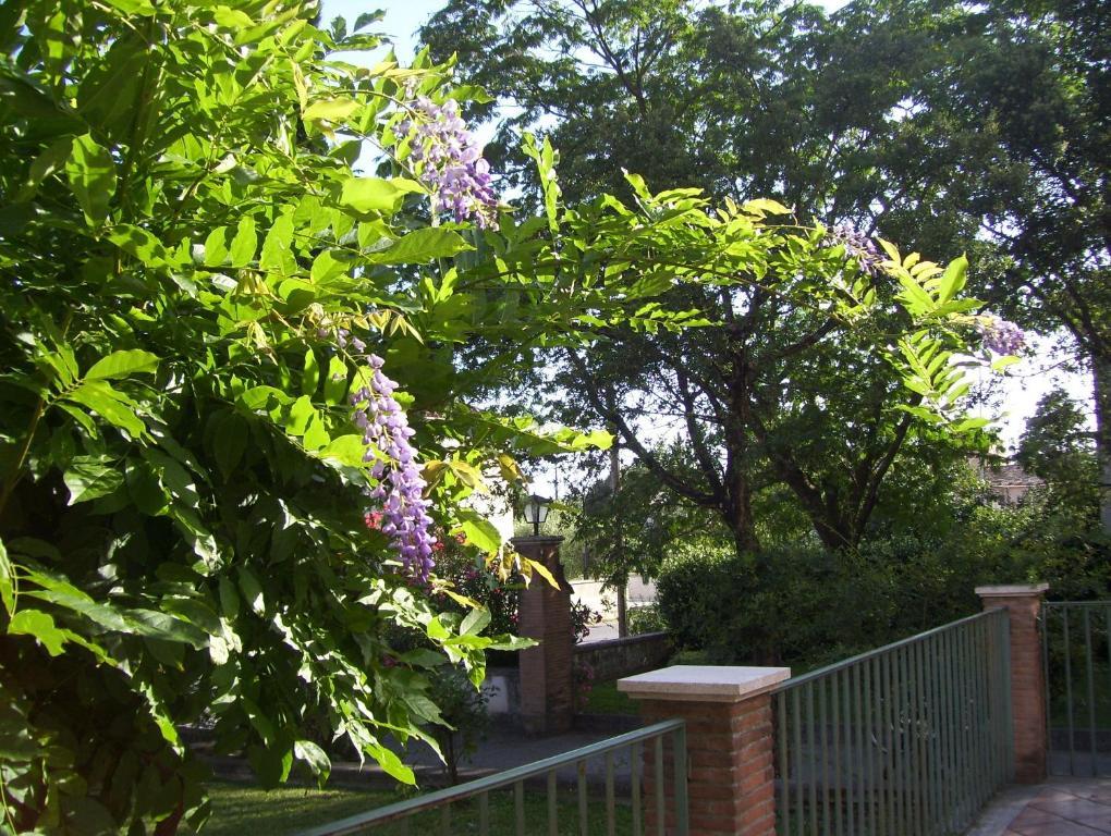 סורה Hotel Del Sole מראה חיצוני תמונה